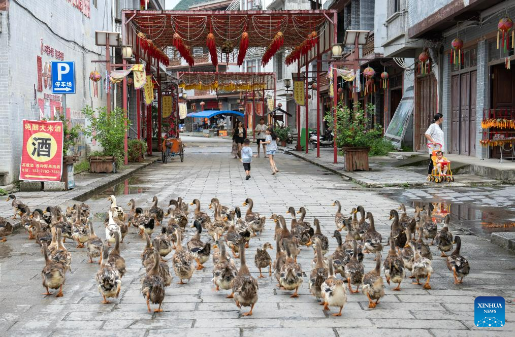 POTRET Rumah Bola Sulaman di Jingxi-Image-12