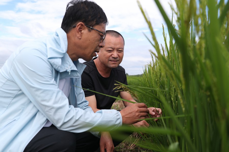 Pakar Pertanian Bantu Petani yang Dilanda Banjir di China-Image-1
