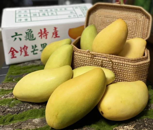 China Stop Sementara Impor Mangga dari Taiwan-Image-1