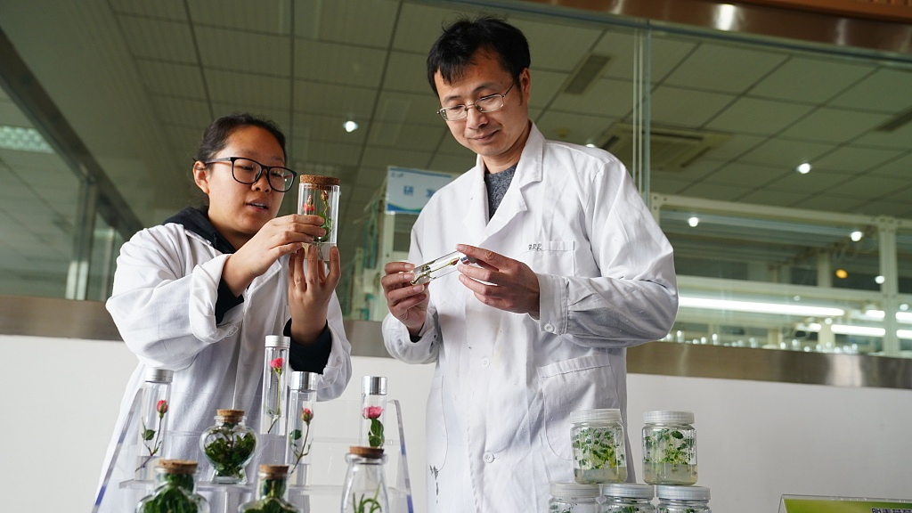 China Dorong Talenta Muda Bidang Iptek-Image-1