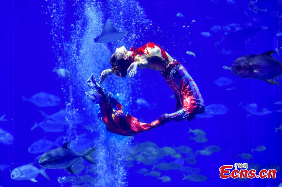 POTRET Indahnya Kontes Putri Duyung di Sanya-Image-4