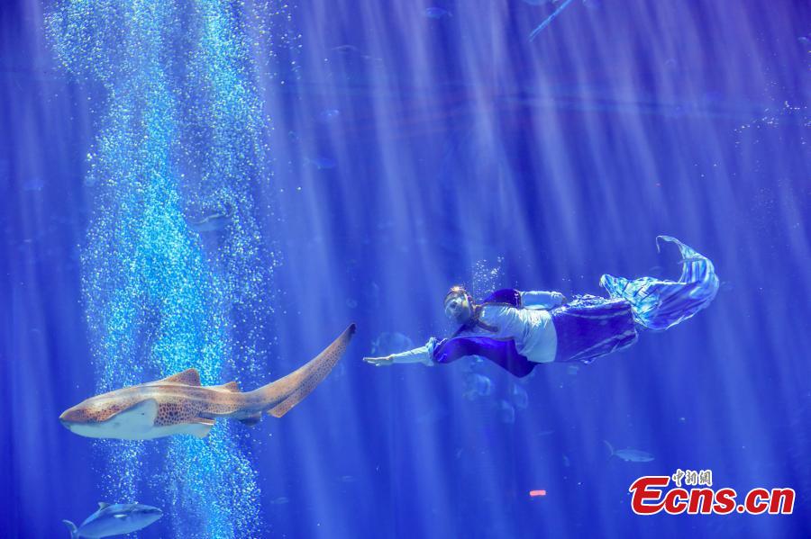 POTRET Indahnya Kontes Putri Duyung di Sanya-Image-3