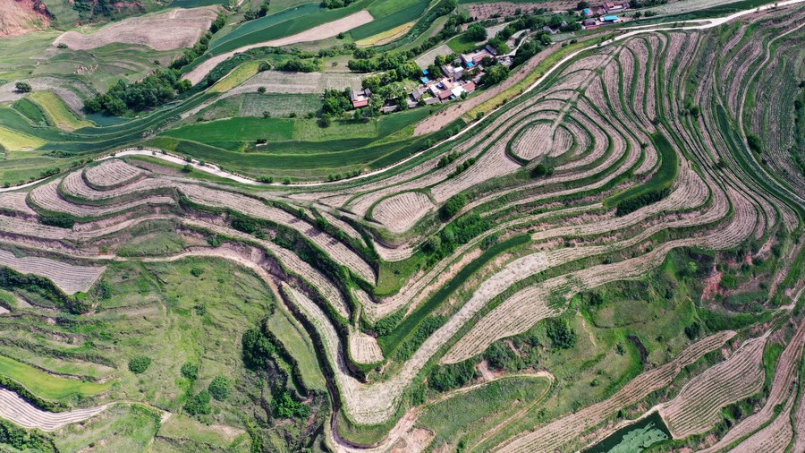 Sawah Bentuk Teras Didiskusikan di Hunan-Image-1