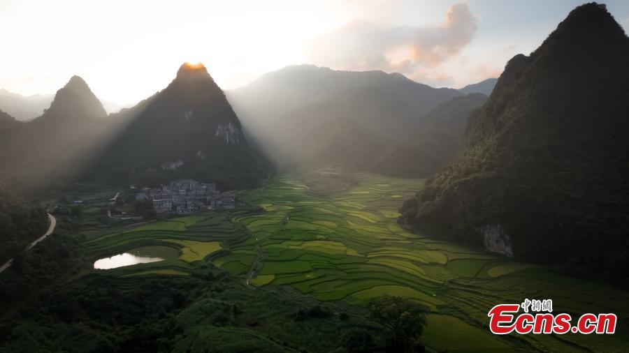 POTRET: Indahnya Sawah Terasering di Debao Kala Senja-Image-1