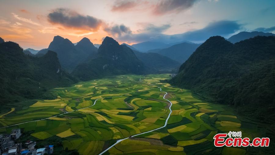 POTRET: Indahnya Sawah Terasering di Debao Kala Senja-Image-5