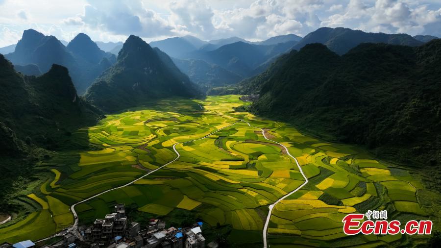 POTRET: Indahnya Sawah Terasering di Debao Kala Senja-Image-4