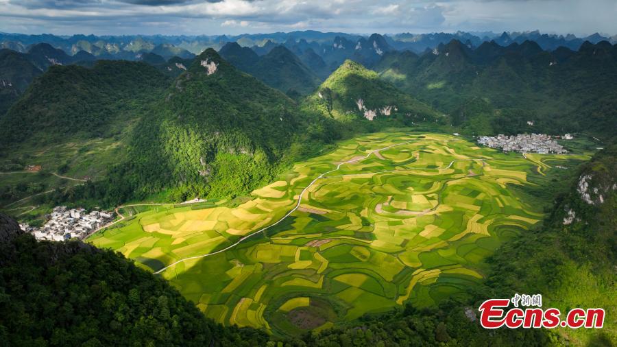 POTRET: Indahnya Sawah Terasering di Debao Kala Senja-Image-2