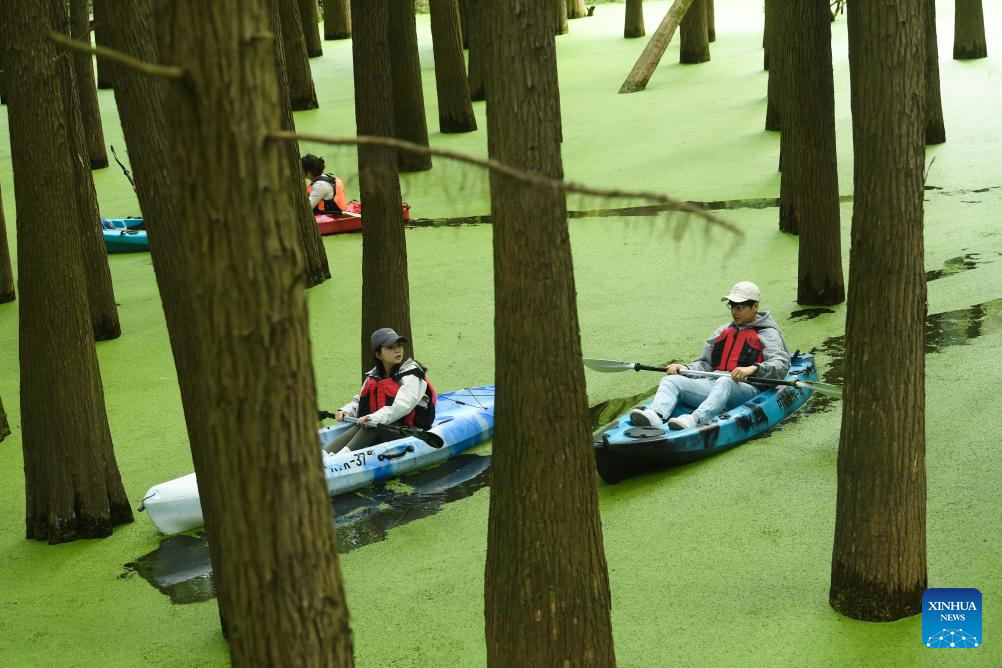 Ini Potret Hutan Tergenang di Danau Qingshan-Image-1