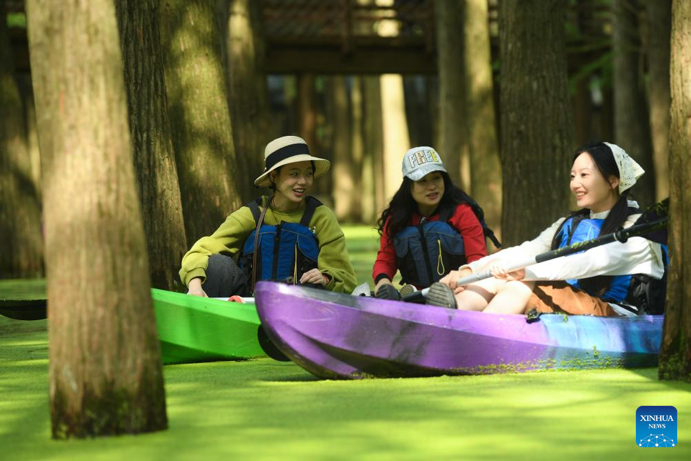 Ini Potret Hutan Tergenang di Danau Qingshan-Image-3