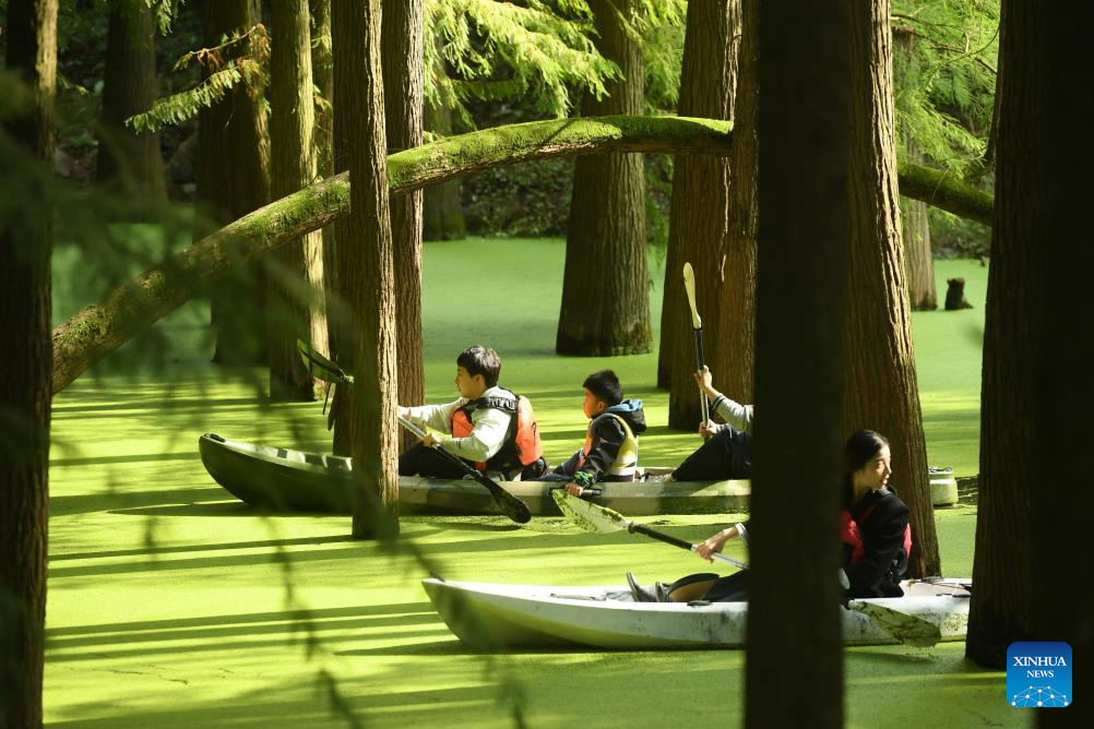 Ini Potret Hutan Tergenang di Danau Qingshan-Image-2