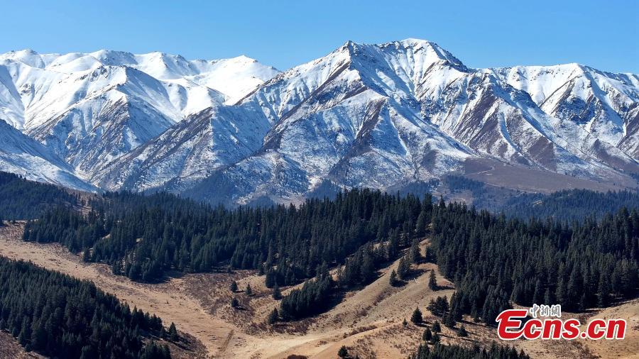 Potret Pegunungan Qilian Bersalju Dinaungi Langit Biru-Image-1