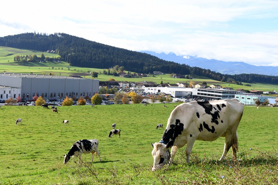 Raksasa makanan Swiss Nestle akan berpartisipasi di CIIE untuk kali keenam secara beruntun-Image-3