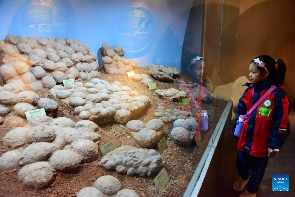 POTRET: Siswa berpartisipasi dalam tur pendidikan ilmiah di Museum Sejarah Alam Henan-Image-6