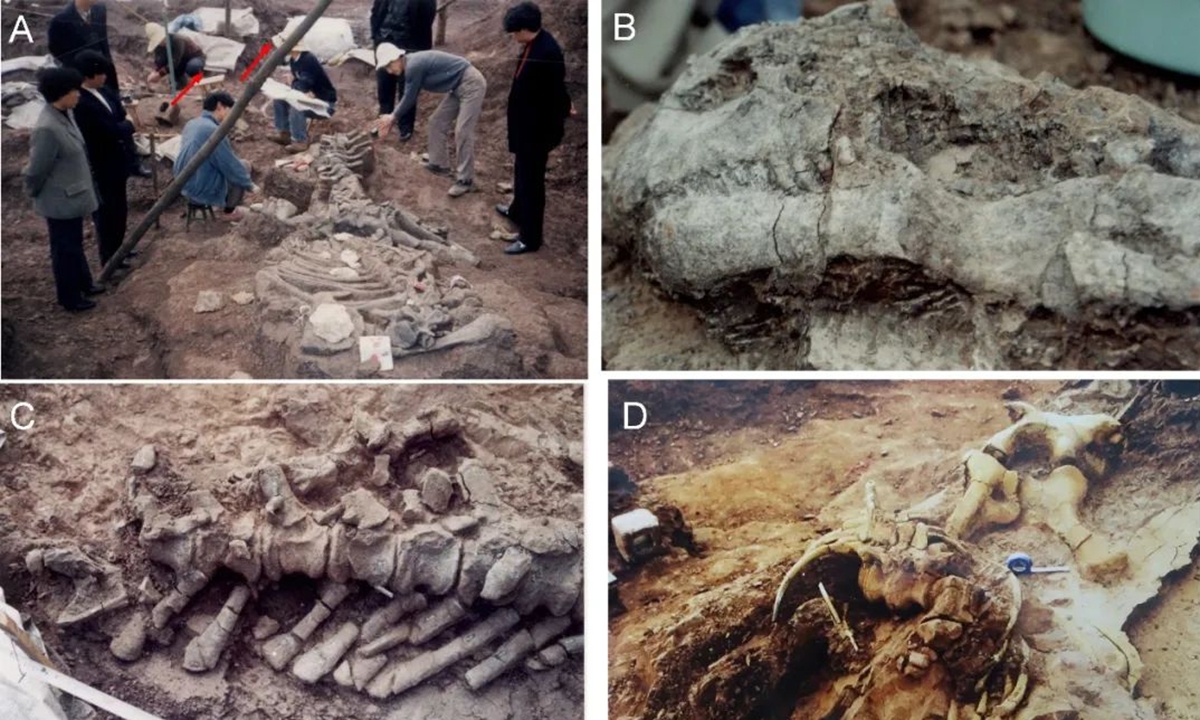 Fosil Dinosaurus Tertua dan Telur Ditemukan di Guizhou-Image-1