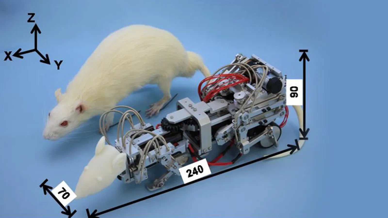 Ilmuwan China-Jerman Bikin Robot Tulang Belakang Fleksibel-Image-1