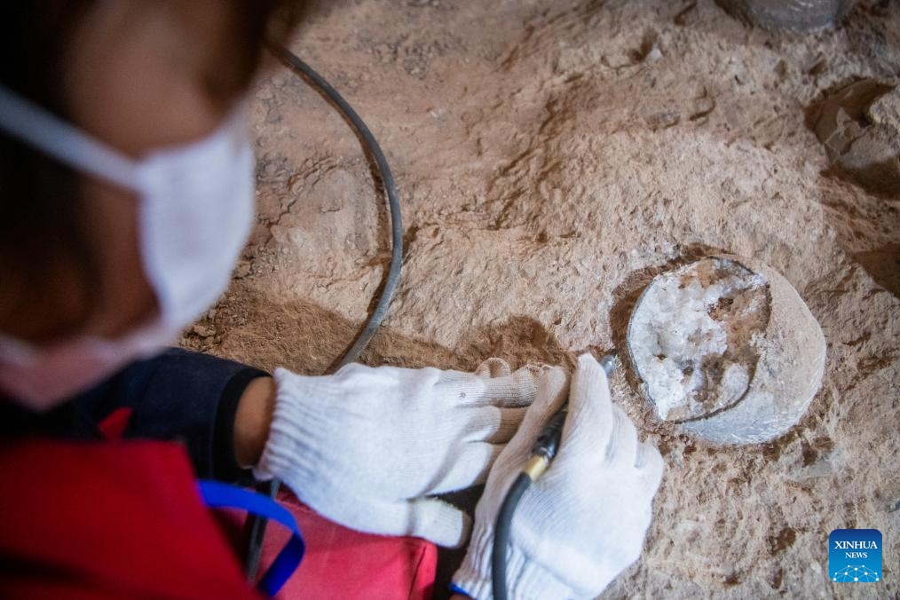 Fosil Telur Dinosaurus Belum Menetas Ditemukan di Gunung Qinglong-Image-1