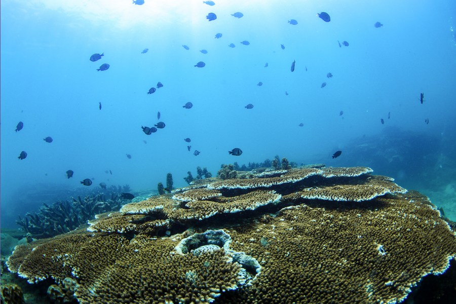 Pemerintah China Minta Pertanggungjawaban 289 Pejabat atas Masalah Perlindungan Lingkungan-Image-1