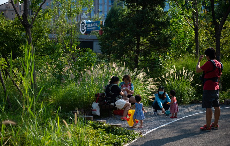 Beijing Bergelar Kota Hutan Nasional-Image-1