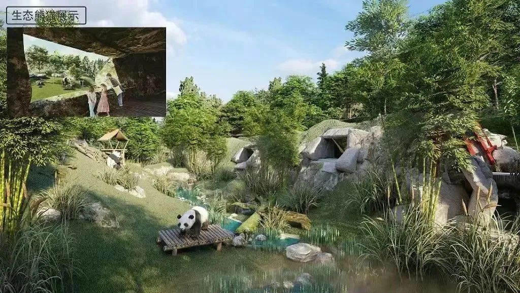 Pangkalan Panda di Beijing Diharapkan Selesai Akhir Tahun-Image-1