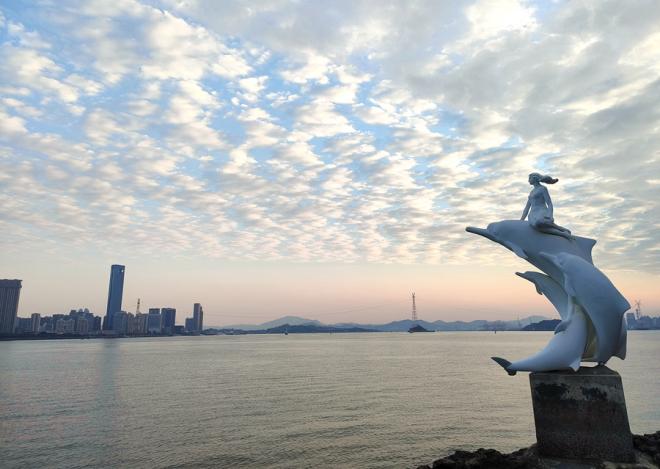 Lumba-lumba Putih yang Sangat Langka Terlihat di Xiamen-Image-2