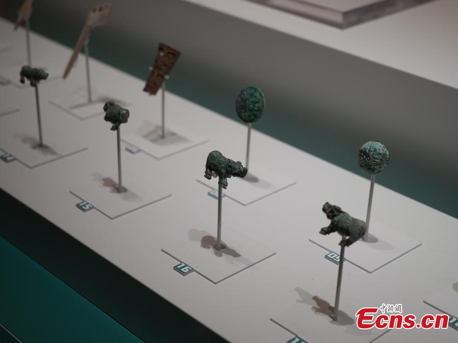 Artefak yang Tampilkan Hewan Diresmikan di Museum Yinxu-Image-2