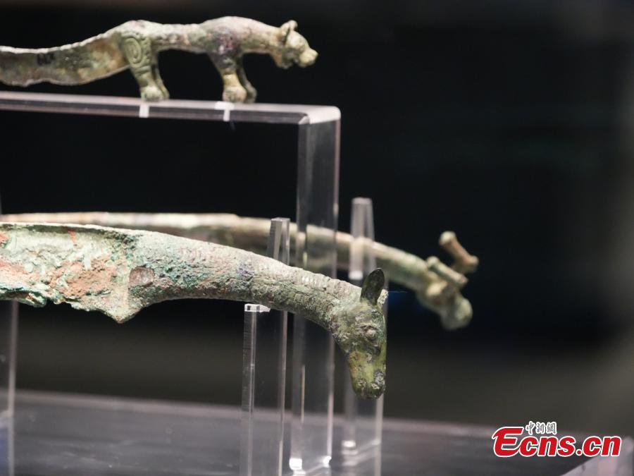 Artefak yang Tampilkan Hewan Diresmikan di Museum Yinxu-Image-7