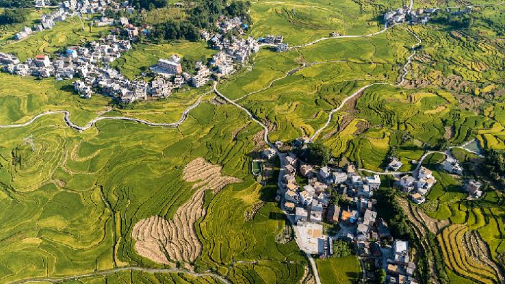 Pemerintah China Lihat Peningkatan Lingkungan Hidup di Pedesaan-Image-1