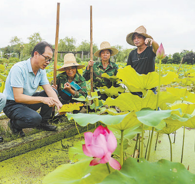 Teratai dari Luar Angkasa Tingkatkan Kemakmuran di Guangchang-Image-4