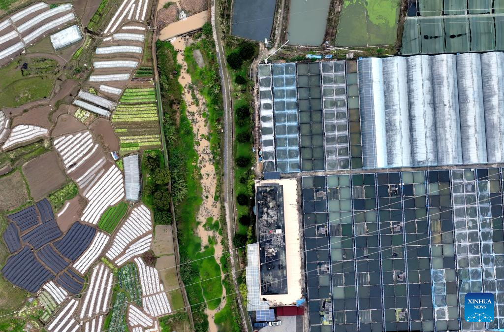 Kota Fuzhou Kembangkan Industri Peternakan Ikan Mas-Image-3