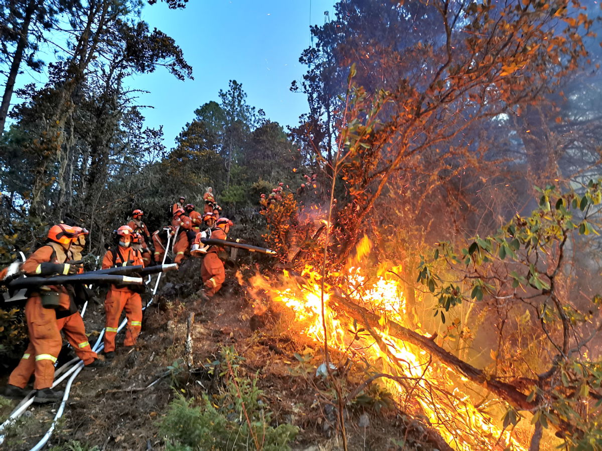 China Luncurkan Kampanye Perkuat Pencegahan Kebakaran Hutan-Image-1