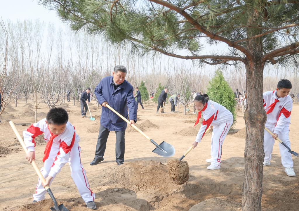 Xi Jinping Ikut Tanam Pohon di Beijing-Image-1