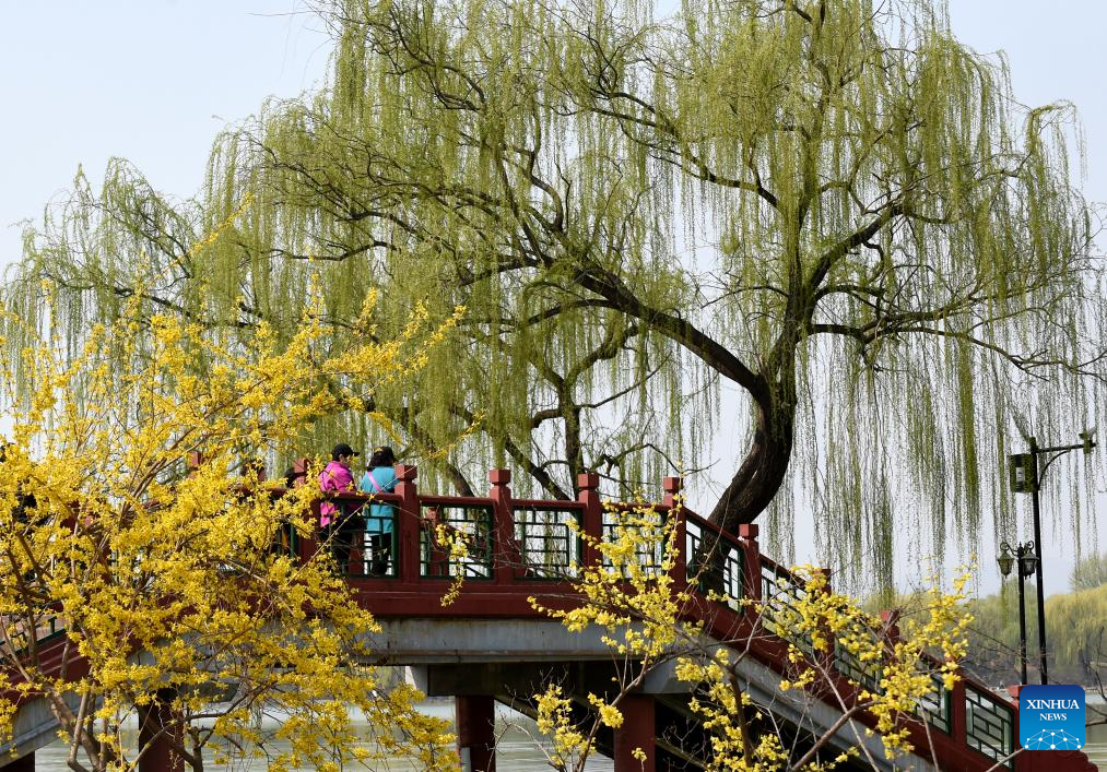 POTRET: Wisatawan kunjungi Taman Yuanmingyuan di Beijing-Image-5