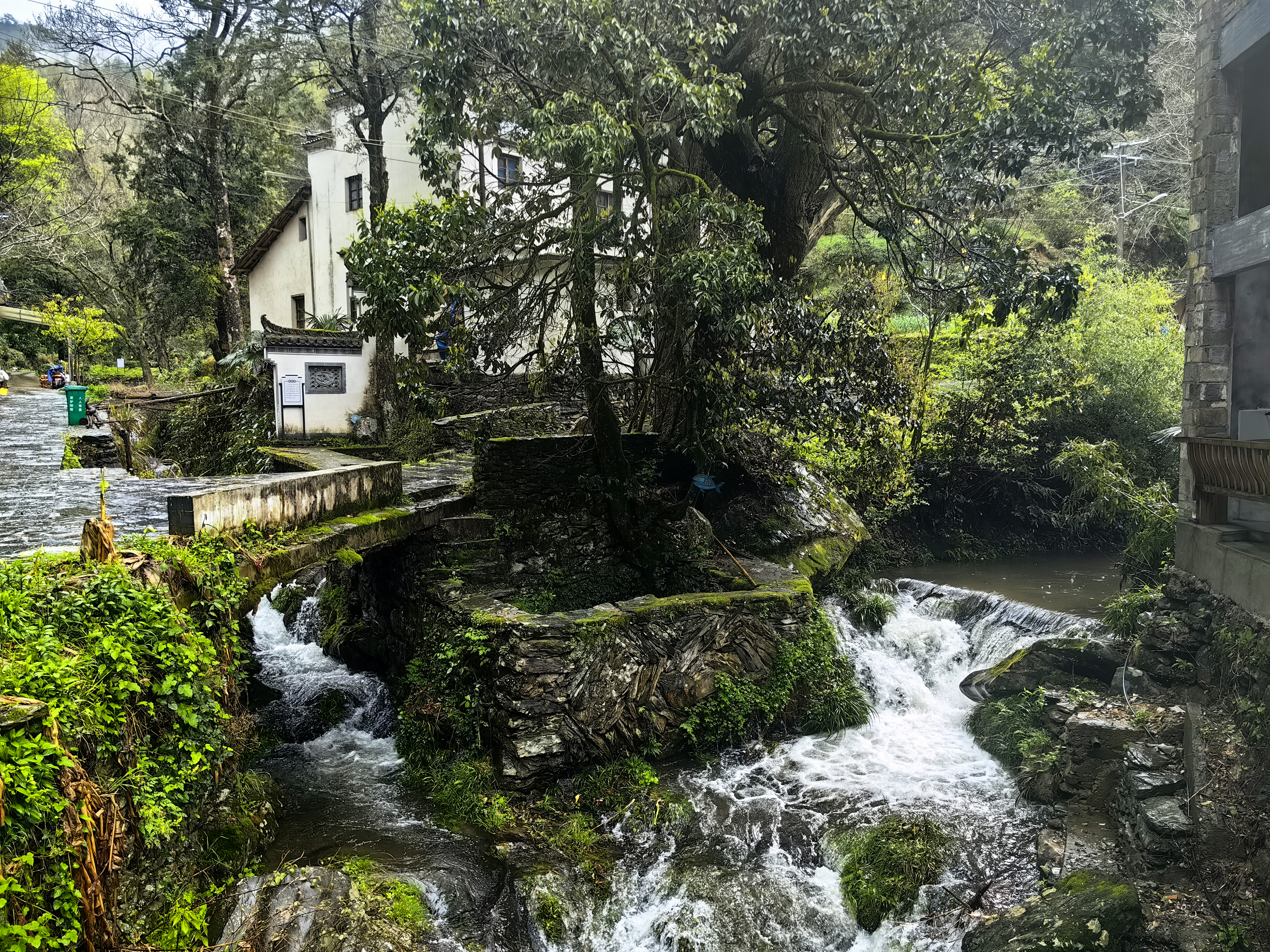 Budi daya ikan air tawar di China timur ini soroti kearifan pertanian tradisional-Image-2 Budi daya ikan air tawar di China timur ini soroti kearifan pertanian tradisional-Image-2