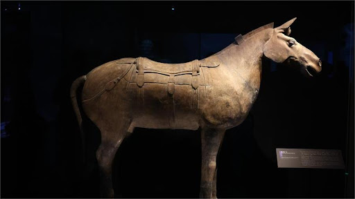 Peneliti Tiongkok Temukan Bubuk Tulang Sapi Dalam Ikatan Tembikar Kuno-Image-1
