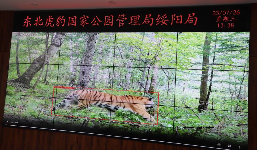 China Berupaya Bangun Sistem Taman Nasional Terbesar di Dunia-Image-1