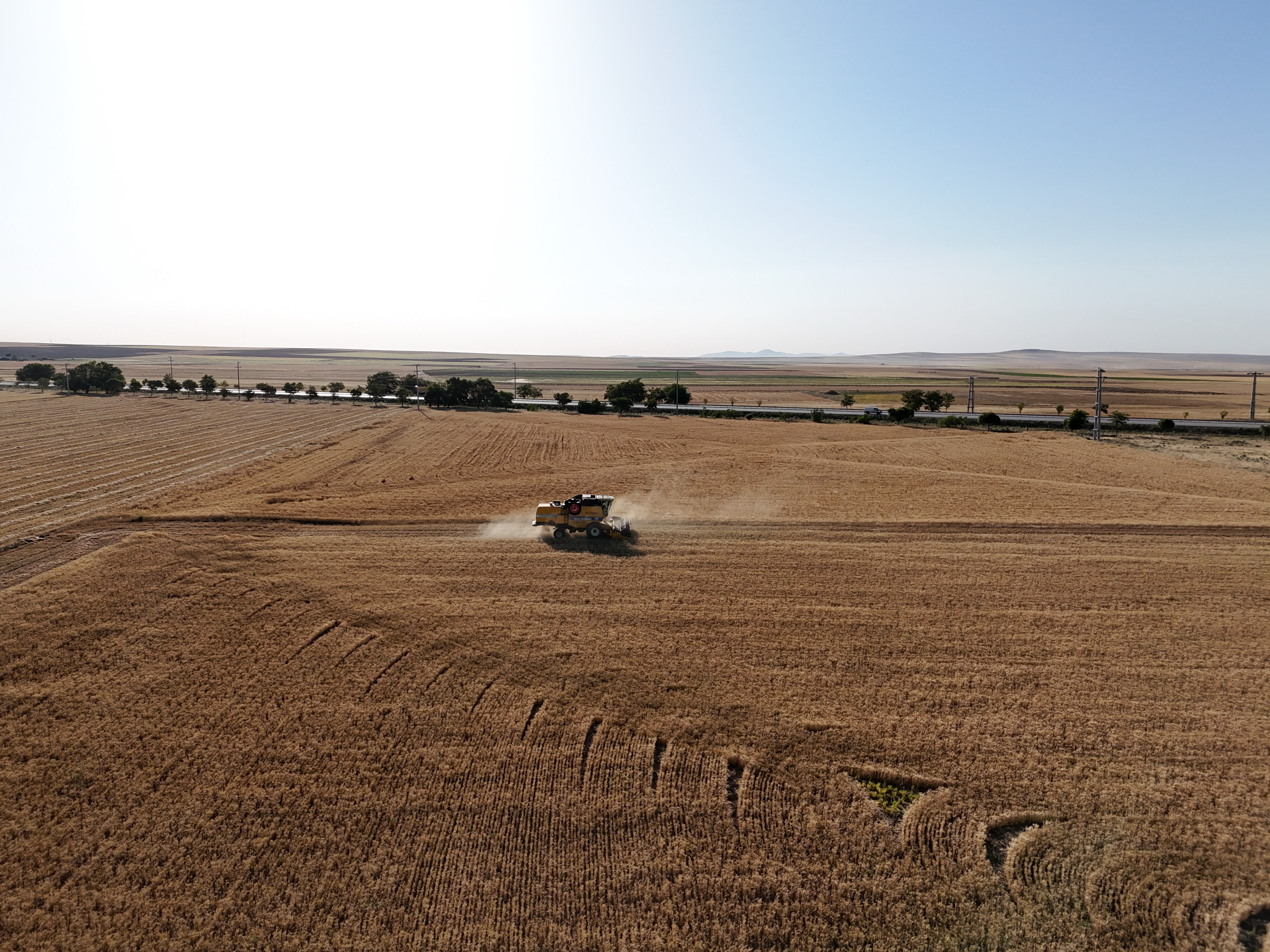 TURKIYE-KONYA-GANDUM-PANEN-1-Image-1