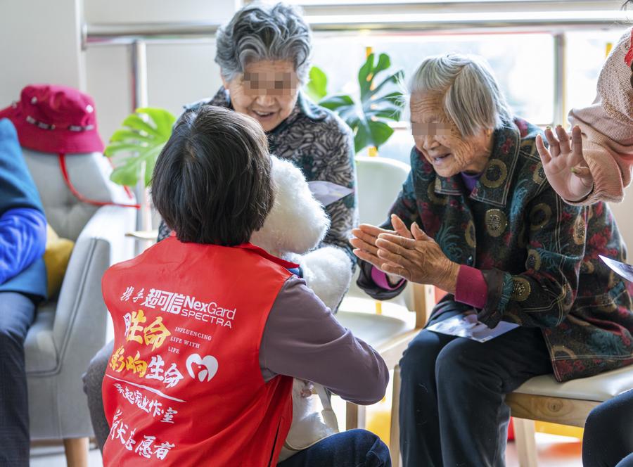 Teknologi AI buka prospek baru bagi perawatan lansia di China-Image-1 Teknologi AI buka prospek baru bagi perawatan lansia di China-Image-1
