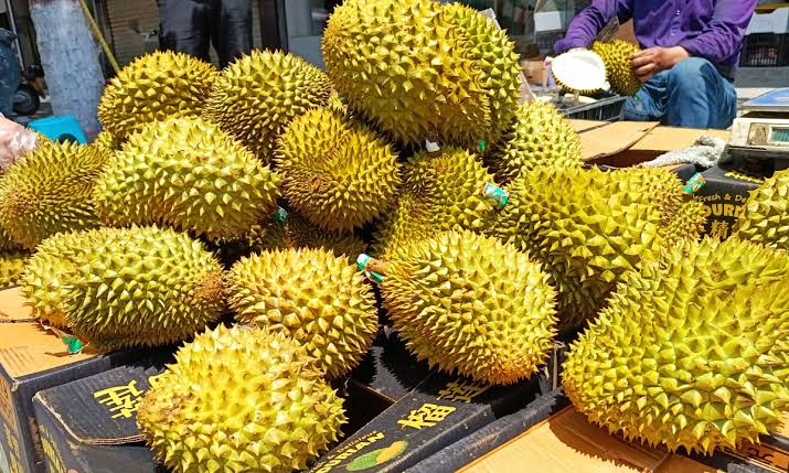 China - ASEAN Bentuk Aliansi Inovasi Sains dan Teknologi Durian-Image-2