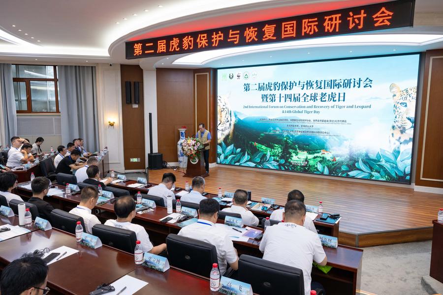 GLOBALink: Forum Internasional tentang Konservasi dan Pemulihan Harimau dan Macan Tutul kedua diadakan di Harbin, China-Image-2