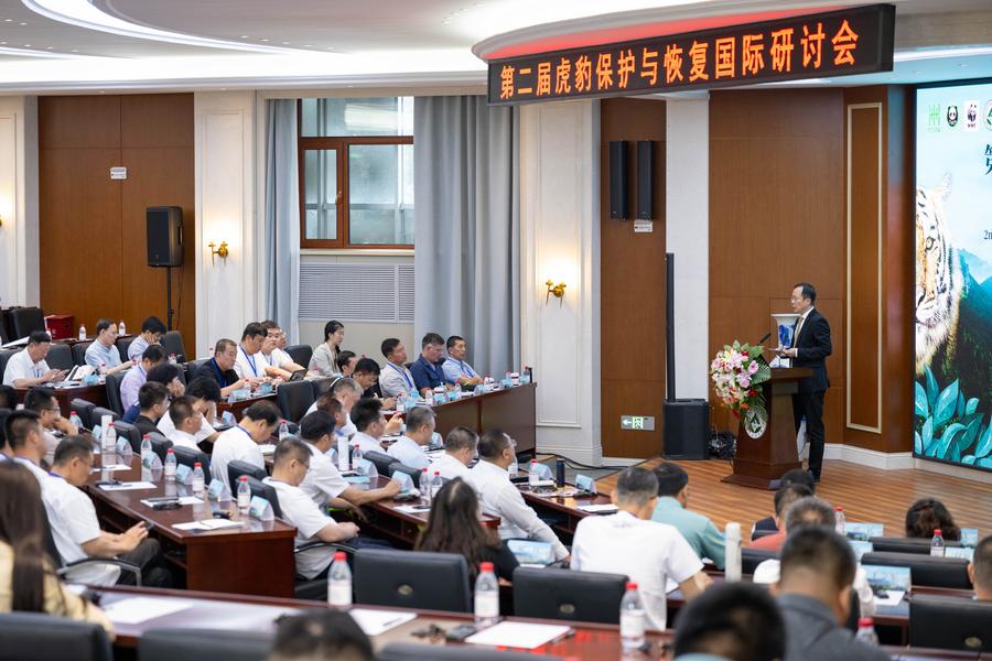 GLOBALink: Forum Internasional tentang Konservasi dan Pemulihan Harimau dan Macan Tutul kedua diadakan di Harbin, China-Image-3