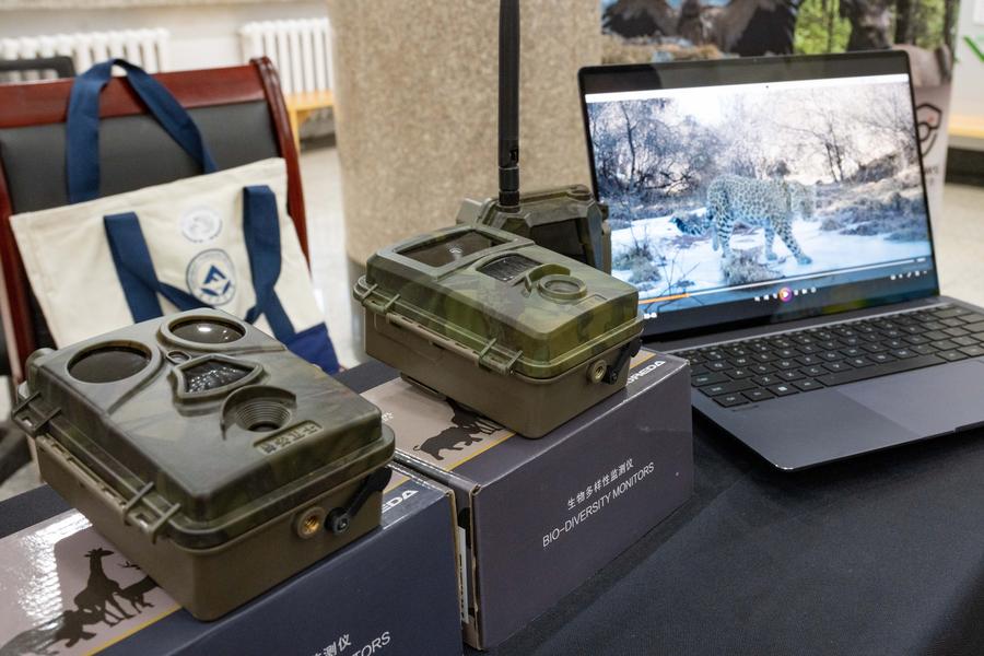 GLOBALink: Forum Internasional tentang Konservasi dan Pemulihan Harimau dan Macan Tutul kedua diadakan di Harbin, China-Image-5