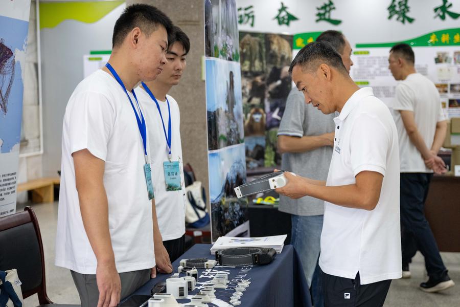 GLOBALink: Forum Internasional tentang Konservasi dan Pemulihan Harimau dan Macan Tutul kedua diadakan di Harbin, China-Image-7