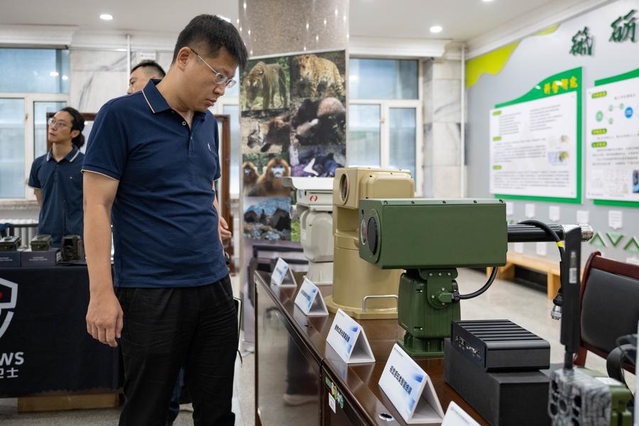 GLOBALink: Forum Internasional tentang Konservasi dan Pemulihan Harimau dan Macan Tutul kedua diadakan di Harbin, China-Image-8