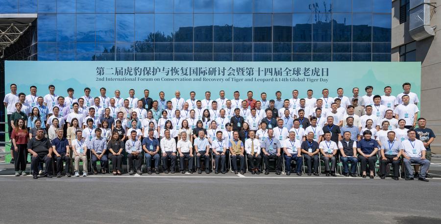 GLOBALink: Forum Internasional tentang Konservasi dan Pemulihan Harimau dan Macan Tutul kedua diadakan di Harbin, China-Image-9
