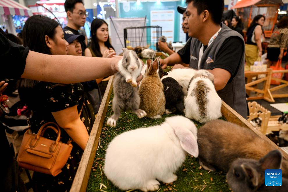 POTRET: Indonesia International Pet Expo 2024-Image-1