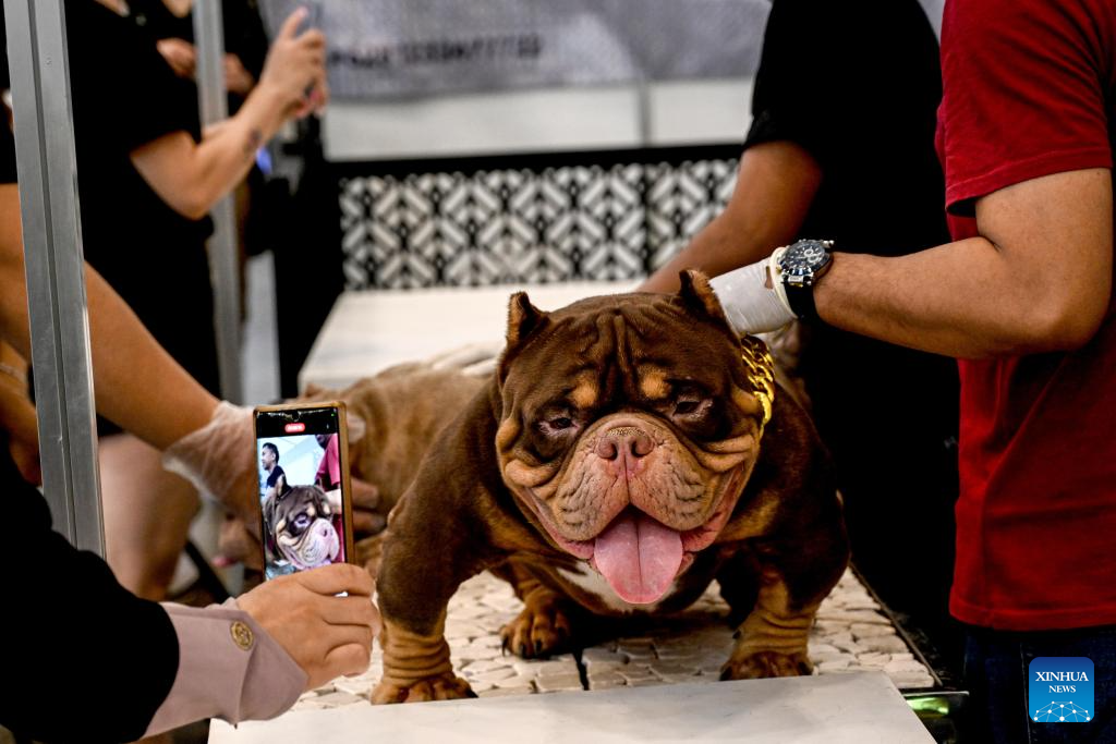 POTRET: Indonesia International Pet Expo 2024-Image-2