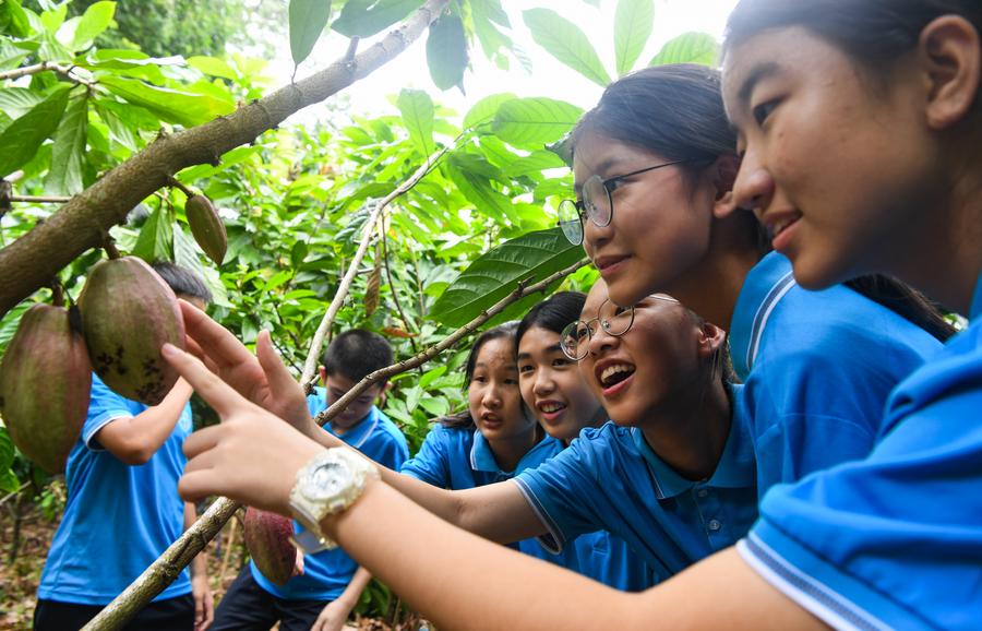 Kolaborasikan sains dan pendidikan, China rangkul sekolah untuk bangun kekuatan iptek-Image-1 Kolaborasikan sains dan pendidikan, China rangkul sekolah untuk bangun kekuatan iptek-Image-1