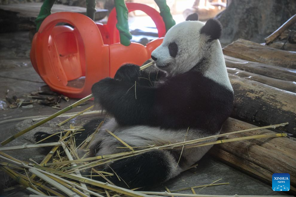 Potret : Taman Margasatwa Tropis dan Kebun Raya Hainan Kembali Buka-Image-4