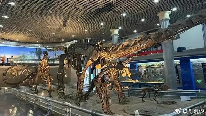 Lokasi baru Museum Sejarah Alam China akan dibuka pada tahun 2029-Image-1