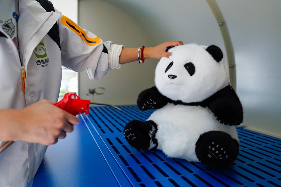 Boneka panda inovatif buatan China kian populer di seluruh dunia-Image-2 Boneka panda inovatif buatan China kian populer di seluruh dunia-Image-2